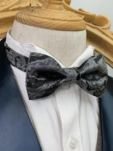 Load image into Gallery viewer, Shining River Silver Black Classic Bow Tie