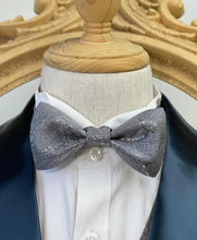 Load image into Gallery viewer, Shining River Silver Classic Bow Tie